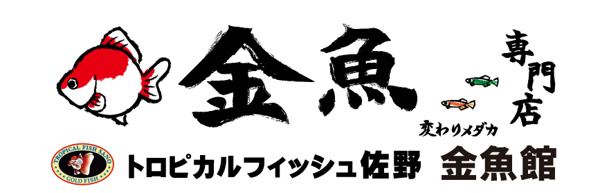 トロピカルフィッシュ佐野 金魚館